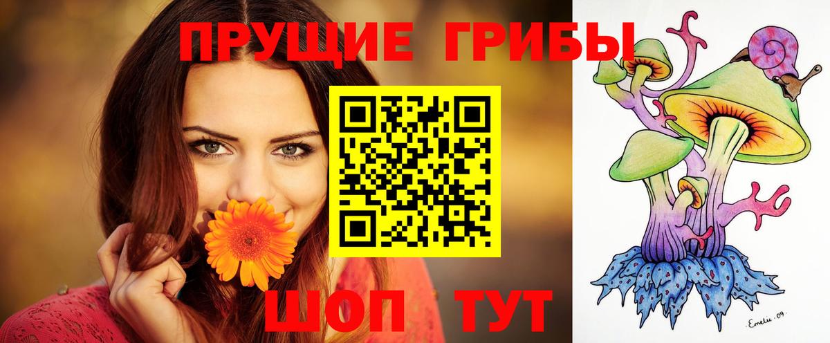 Псилоцибиновые грибы Psilocybe  Вход с VPN  где купить наркотик  Будённовск 
